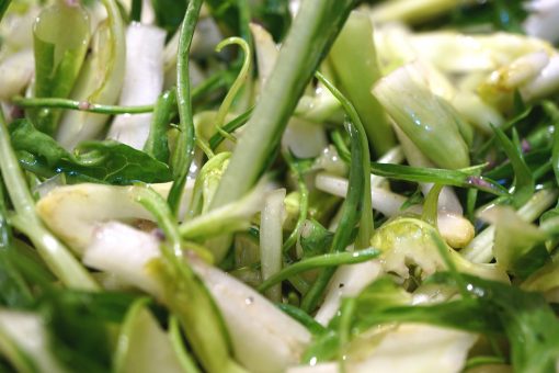 451 – Puntarelle alla romana… per raggiungere il nirvana!